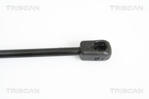 Vérin (Vérin de hayon) Triscan A/S 8710 12105