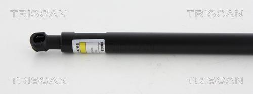 Vérin (Vérin de hayon) Triscan A/S 8710 12107