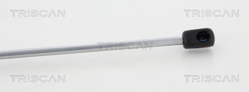 Vérin (Vérin de hayon) Triscan A/S 8710 12107