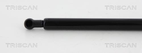 Cilindro Triscan A/S 8710 12108