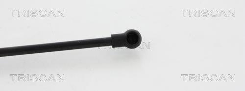 Cilindro Triscan A/S 8710 12108