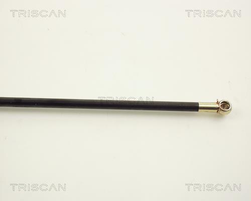 Vérin (Vérin de hayon) Triscan A/S ref. 8710 12201