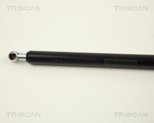 Vérin (Vérin de hayon) Triscan A/S ref. 8710 12205