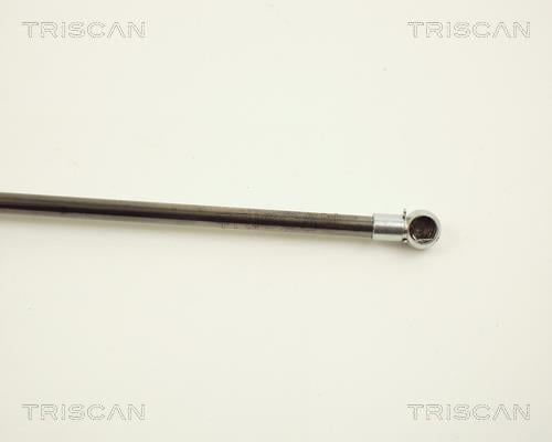 Vérin (Vérin de hayon) Triscan A/S ref. 8710 12205