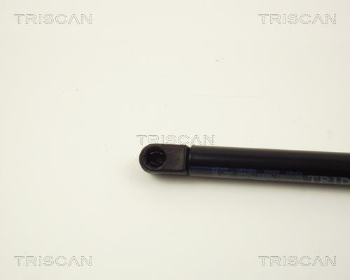 Vérin (Vérin de hayon) Triscan A/S ref. 8710 12206