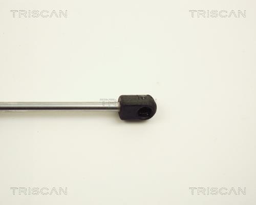 Vérin (Vérin de hayon) Triscan A/S ref. 8710 12206