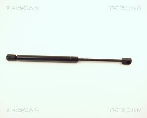 Cilindro Triscan A/S ref. 8710 12209