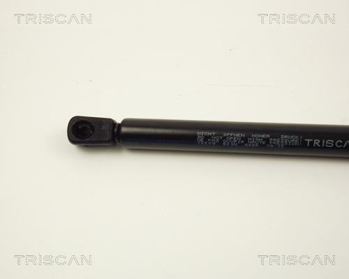 Cilindro Triscan A/S ref. 8710 12209