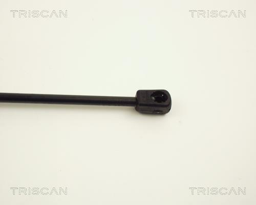 Cilindro Triscan A/S ref. 8710 12209