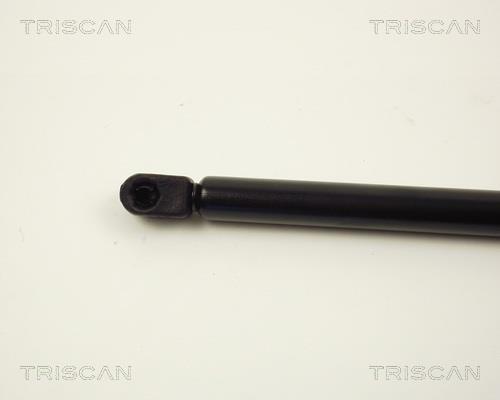 Vérin (Vérin de hayon) Triscan A/S ref. 8710 12210