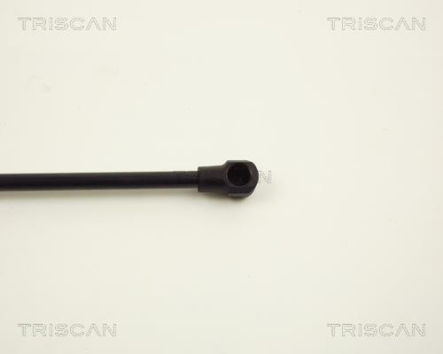 Vérin (Vérin de hayon) Triscan A/S ref. 8710 12210