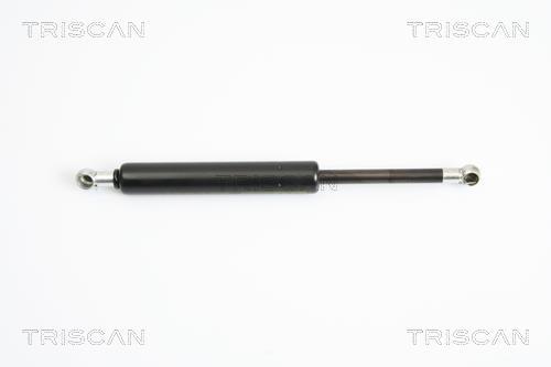 Vérin (Vérin de hayon) Triscan A/S 8710 12211