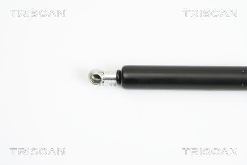 Vérin (Vérin de hayon) Triscan A/S 8710 12211