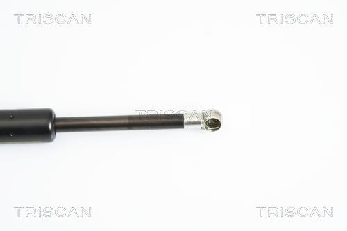 Vérin (Vérin de hayon) Triscan A/S 8710 12211