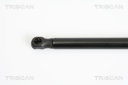 Vérin (Vérin de hayon) Triscan A/S 8710 12212
