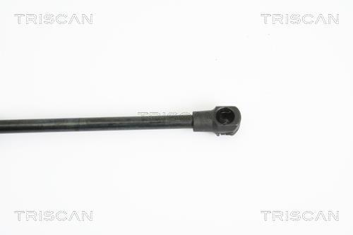 Vérin (Vérin de hayon) Triscan A/S 8710 12212