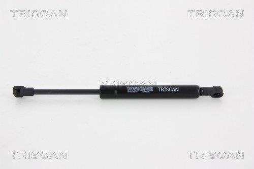 Cilindro Triscan A/S ref. 8710 12215