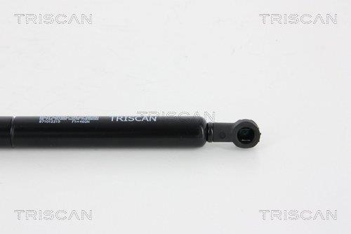Cilindro Triscan A/S ref. 8710 12215