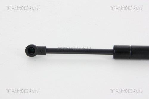 Cilindro Triscan A/S ref. 8710 12215