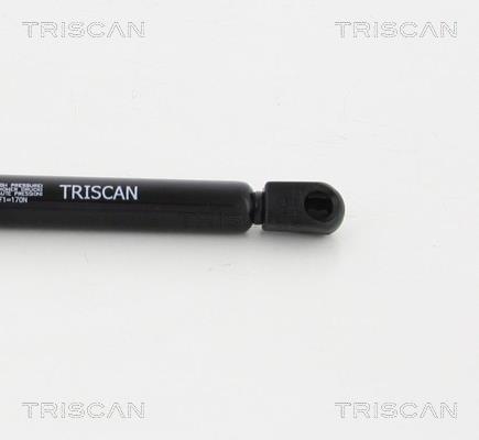 Vérin (Vérin de hayon) Triscan A/S ref. 8710 12217