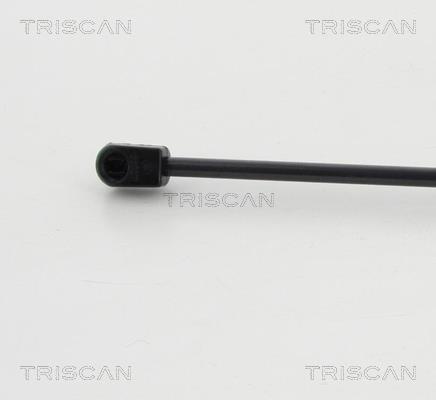 Vérin (Vérin de hayon) Triscan A/S ref. 8710 12217