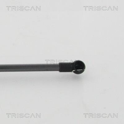 Cilindro Triscan A/S 8710 13101