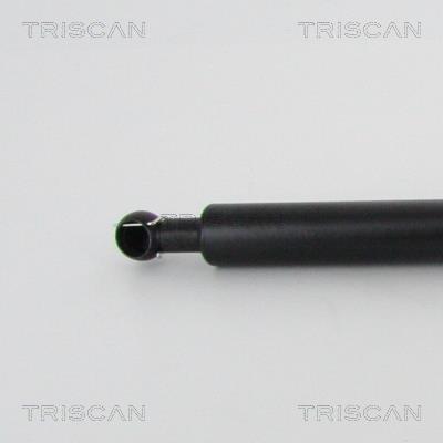 Cilindro Triscan A/S 8710 13101