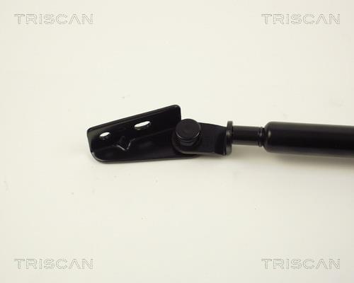 Vérin (Vérin de hayon) Triscan A/S 8710 13203
