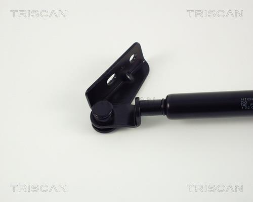 Vérin (Vérin de hayon) Triscan A/S 8710 13204