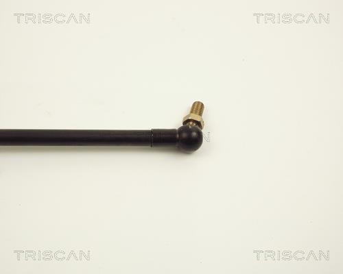Vérin (Vérin de hayon) Triscan A/S 8710 13211