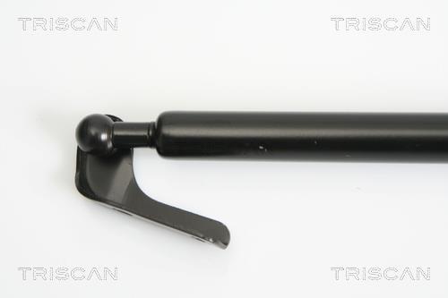 Vérin (Vérin de hayon) Triscan A/S 8710 13218