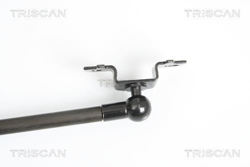 Vérin (Vérin de hayon) Triscan A/S 8710 13218