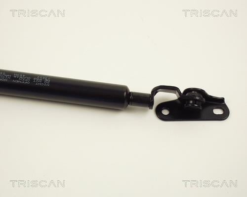 Vérin (Vérin de hayon) Triscan A/S 8710 13222