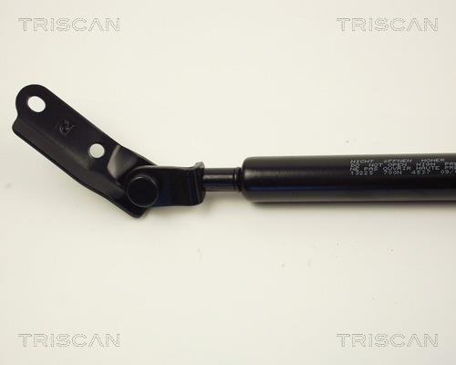 Cilindro Triscan A/S 8710 13225