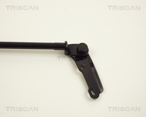 Cilindro Triscan A/S 8710 13225