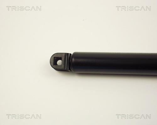 Vérin (Vérin de hayon) Triscan A/S 8710 13229