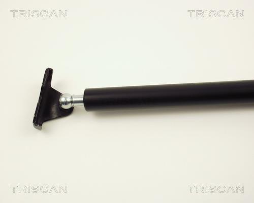 Vérin (Vérin de hayon) Triscan A/S 8710 13234