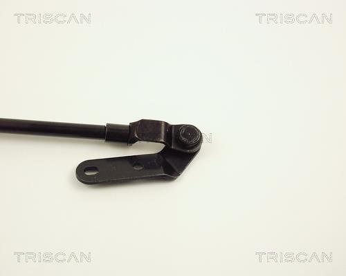 Vérin (Vérin de hayon) Triscan A/S 8710 13235