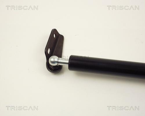 Vérin (Vérin de hayon) Triscan A/S 8710 13236