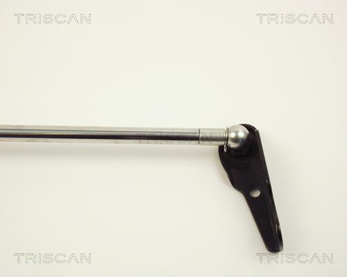 Vérin (Vérin de hayon) Triscan A/S 8710 13236