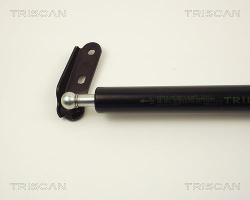 Vérin (Vérin de hayon) Triscan A/S 8710 13237