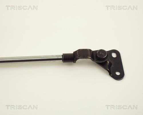 Vérin (Vérin de hayon) Triscan A/S 8710 13237