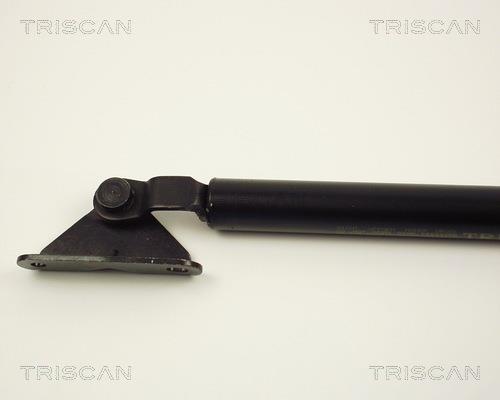 Vérin (Vérin de hayon) Triscan A/S 8710 13239