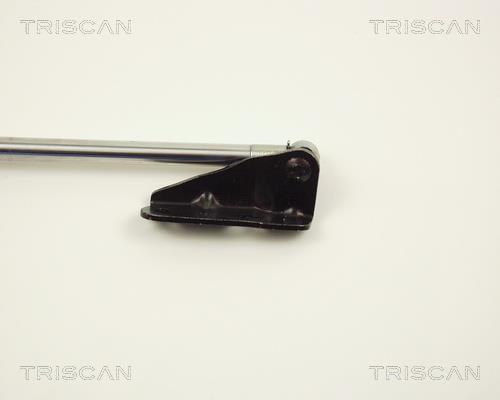 Vérin (Vérin de hayon) Triscan A/S 8710 13239