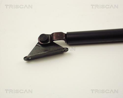 Vérin (Vérin de hayon) Triscan A/S 8710 13240