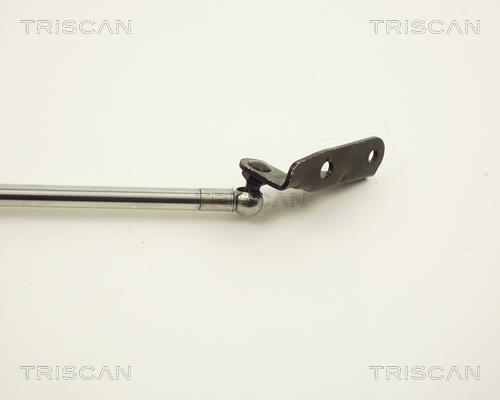 Vérin (Vérin de hayon) Triscan A/S 8710 13240