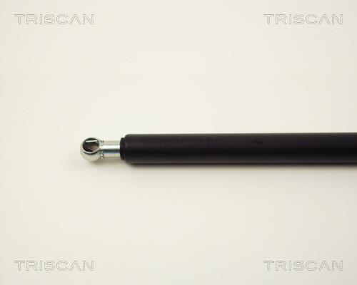 Vérin (Vérin de hayon) Triscan A/S 8710 13241