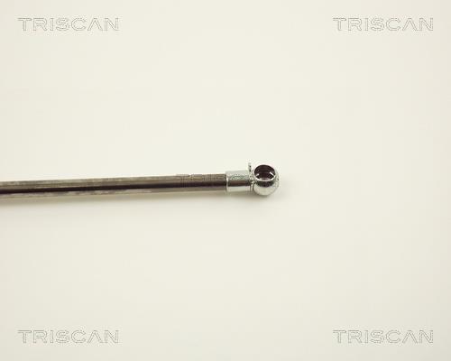 Vérin (Vérin de hayon) Triscan A/S 8710 13241