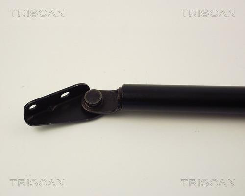 Vérin (Vérin de hayon) Triscan A/S 8710 13244