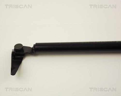 Cilindro Triscan A/S 8710 13245